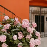Center Dvor Kalalarga *