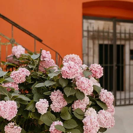 Center Dvor Kalalarga *