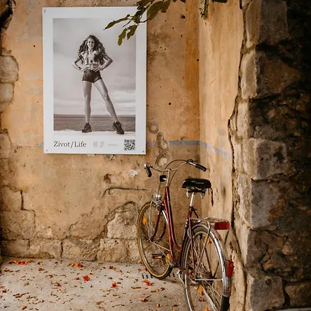 Center Dvor Kalalarga *