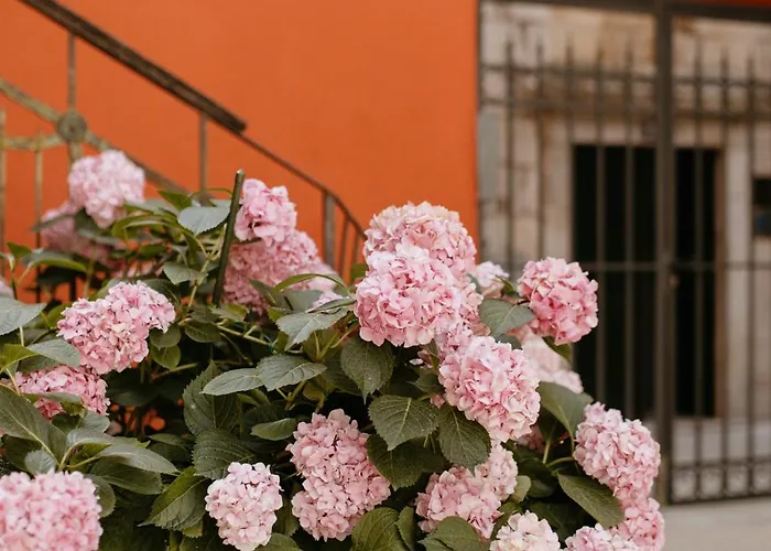 Center Dvor Kalalarga *