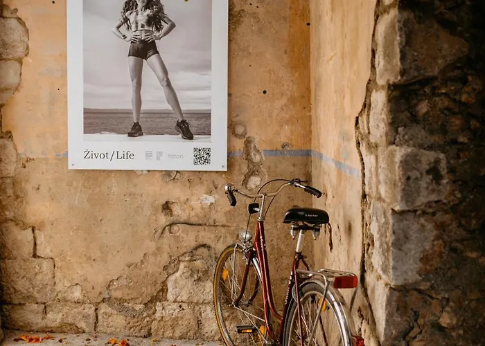 Center Dvor Kalalarga *